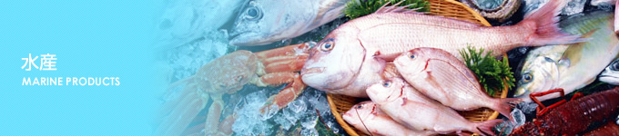 水産 水産
